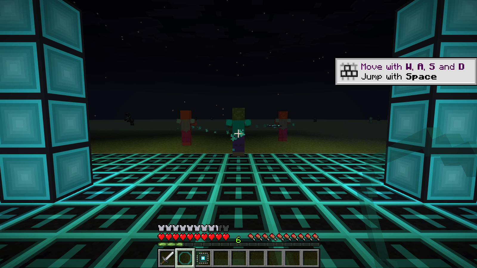 ng_fly1.png