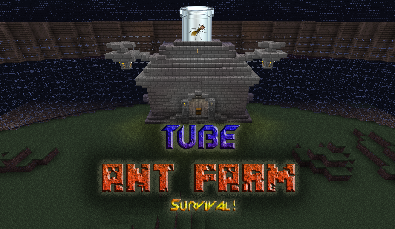 tube ant farm.