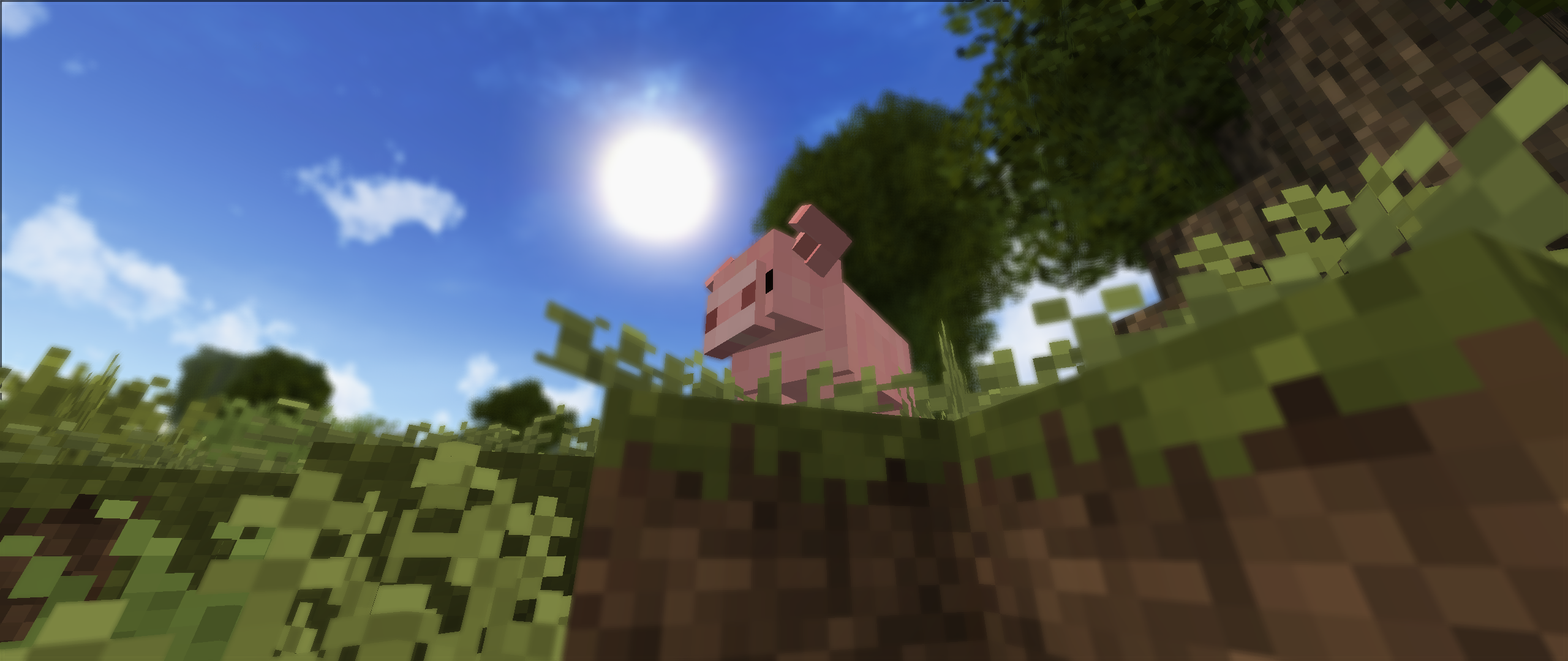 Animania Pig