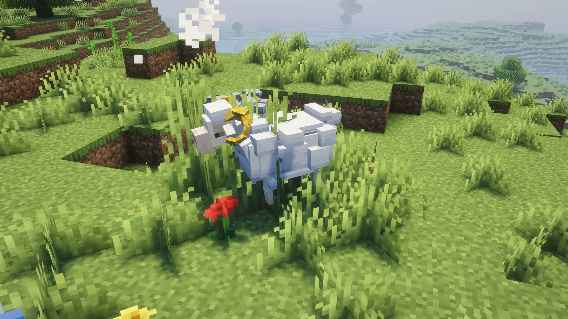 Thumbnail 23-nimbus_ram.jpg