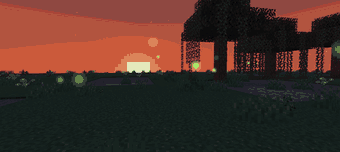 The sun goes down and the fireflies come out one by one, low over the reeds and the water.