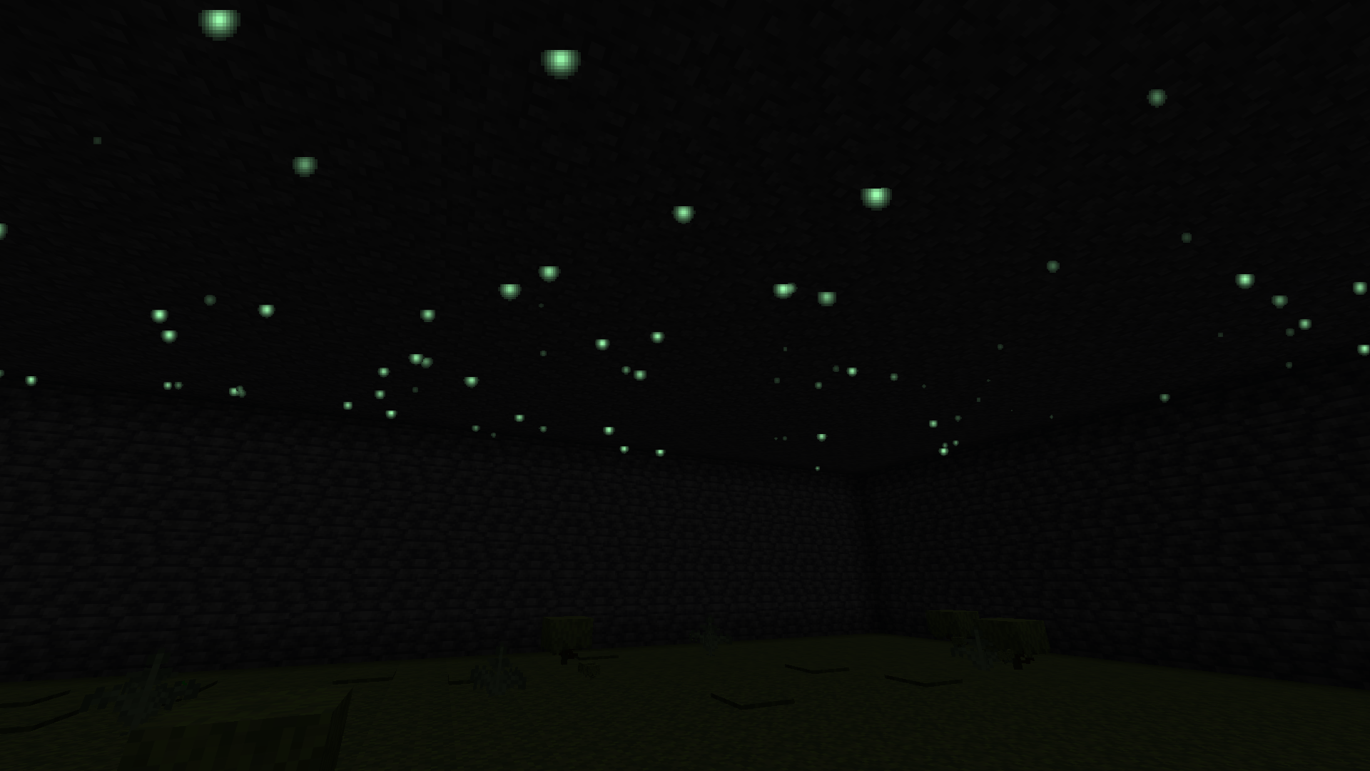 Thumbnail Where no daylight reaches, glow worms turn the ceiling of a lush cave into a starry sky.