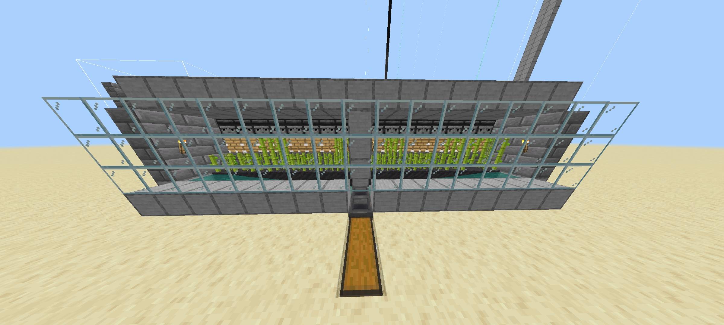 This is sugar cane farm