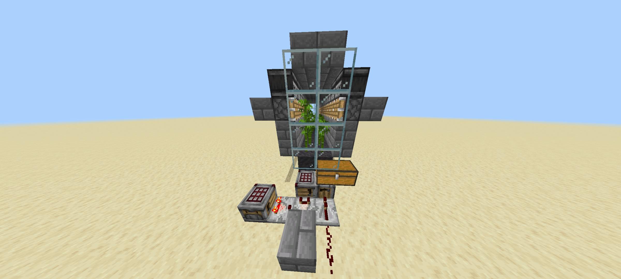 This is bamboo farm
