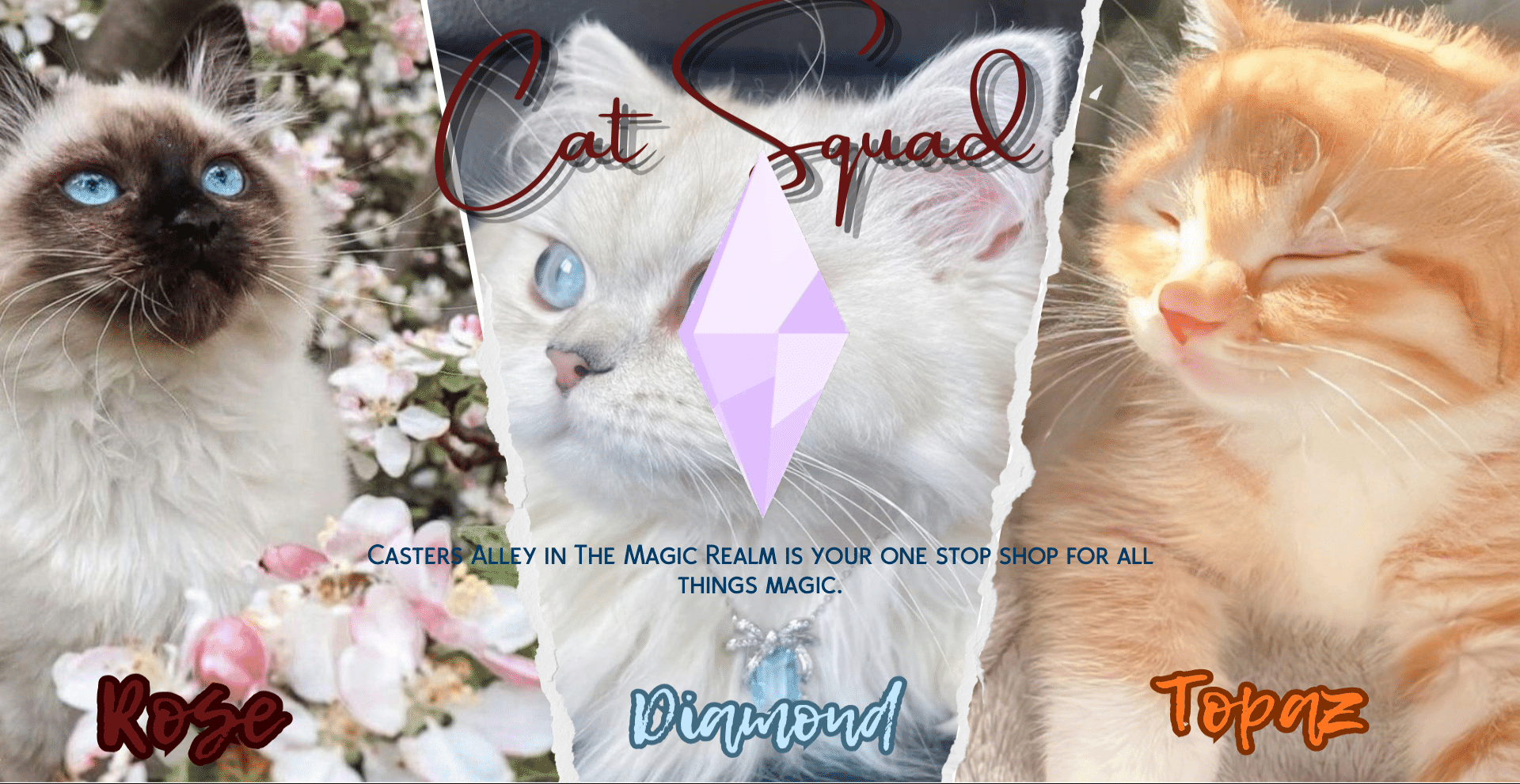 Cat Loading Screen - Gallery - The Sims 4 Mods - CurseForge