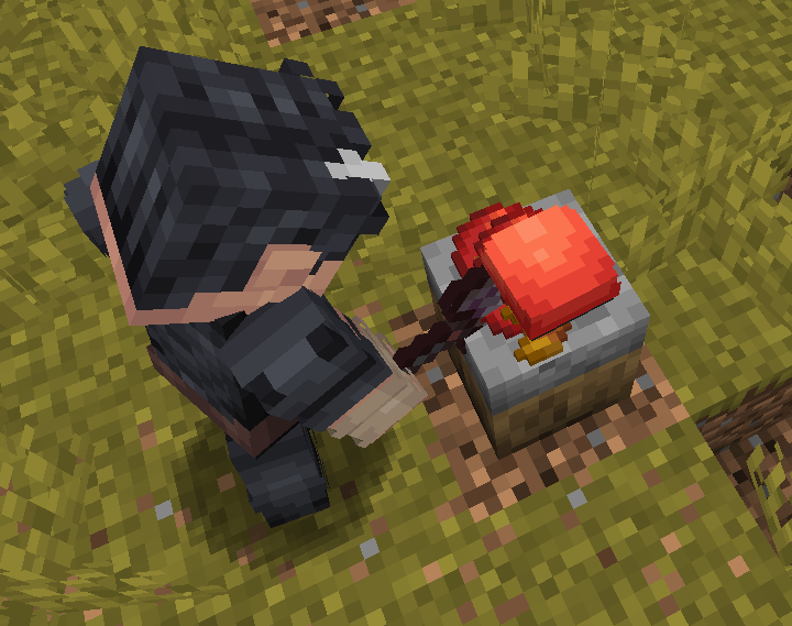 Third Person Manual Pokeball Lid pressing (also works with mechanical pressing)