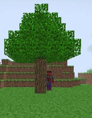 Screenshot_20261025-170949~2.jpg
