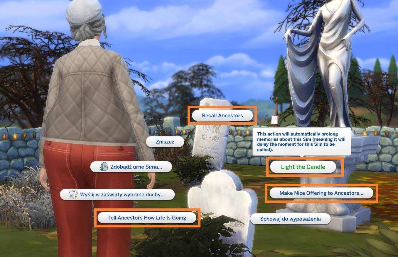 Int.jpg