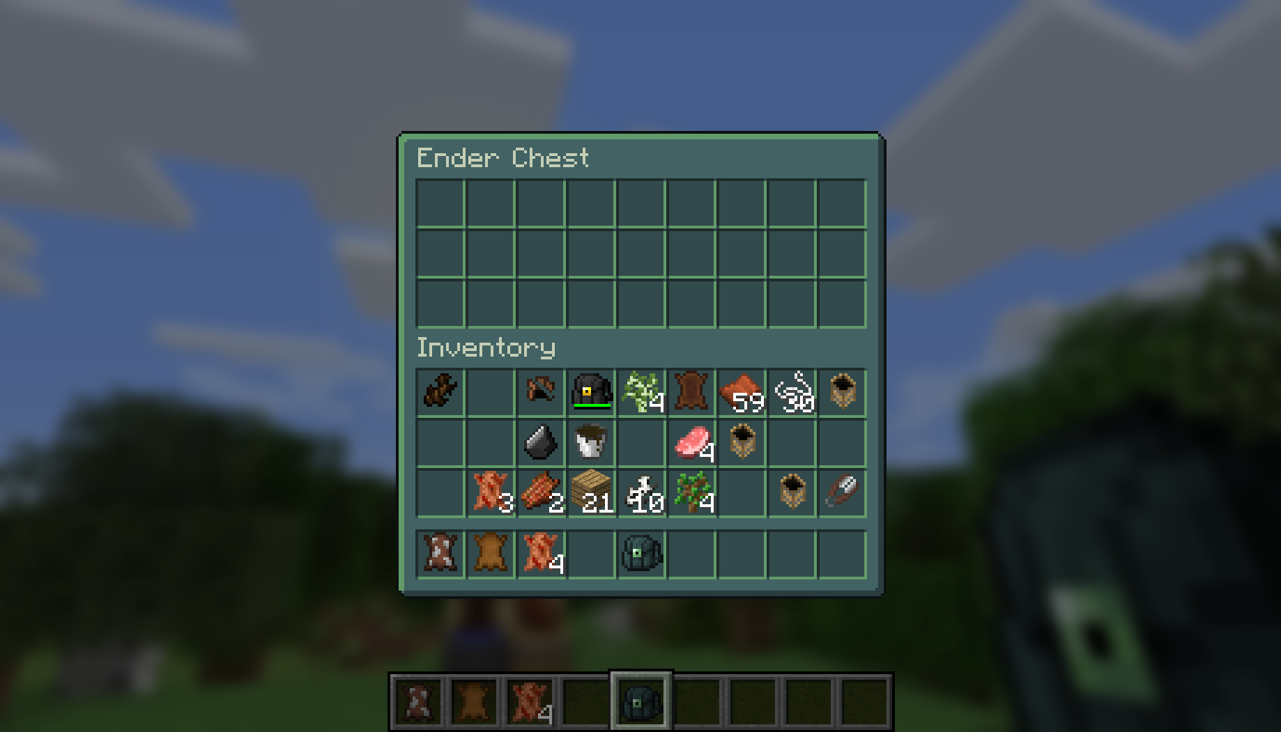 Ender Pack