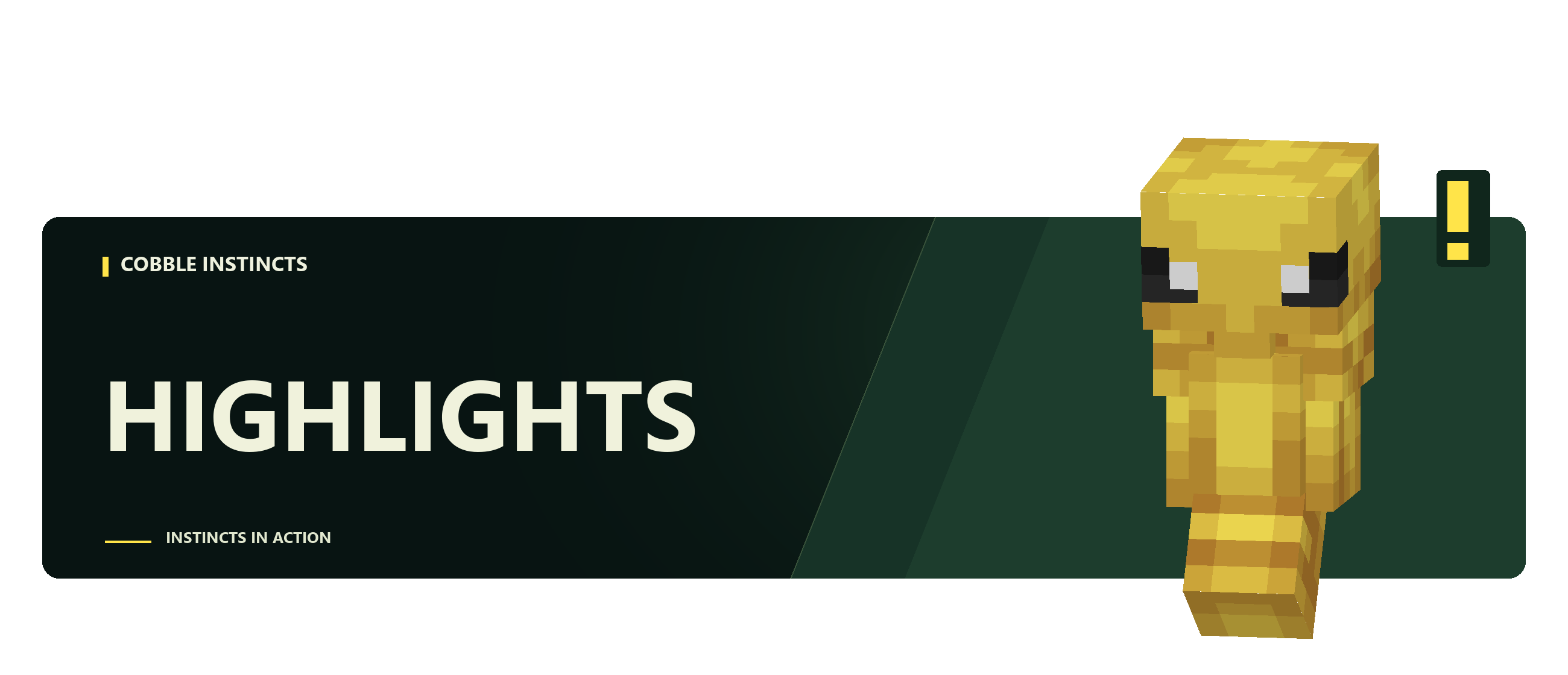 Highlights