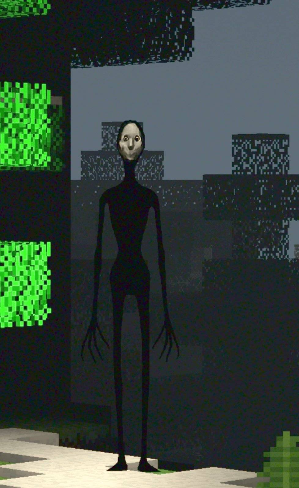 Thumbnail IMG-51fa1dec0ffee6d937c6fc333954624a-V.jpg