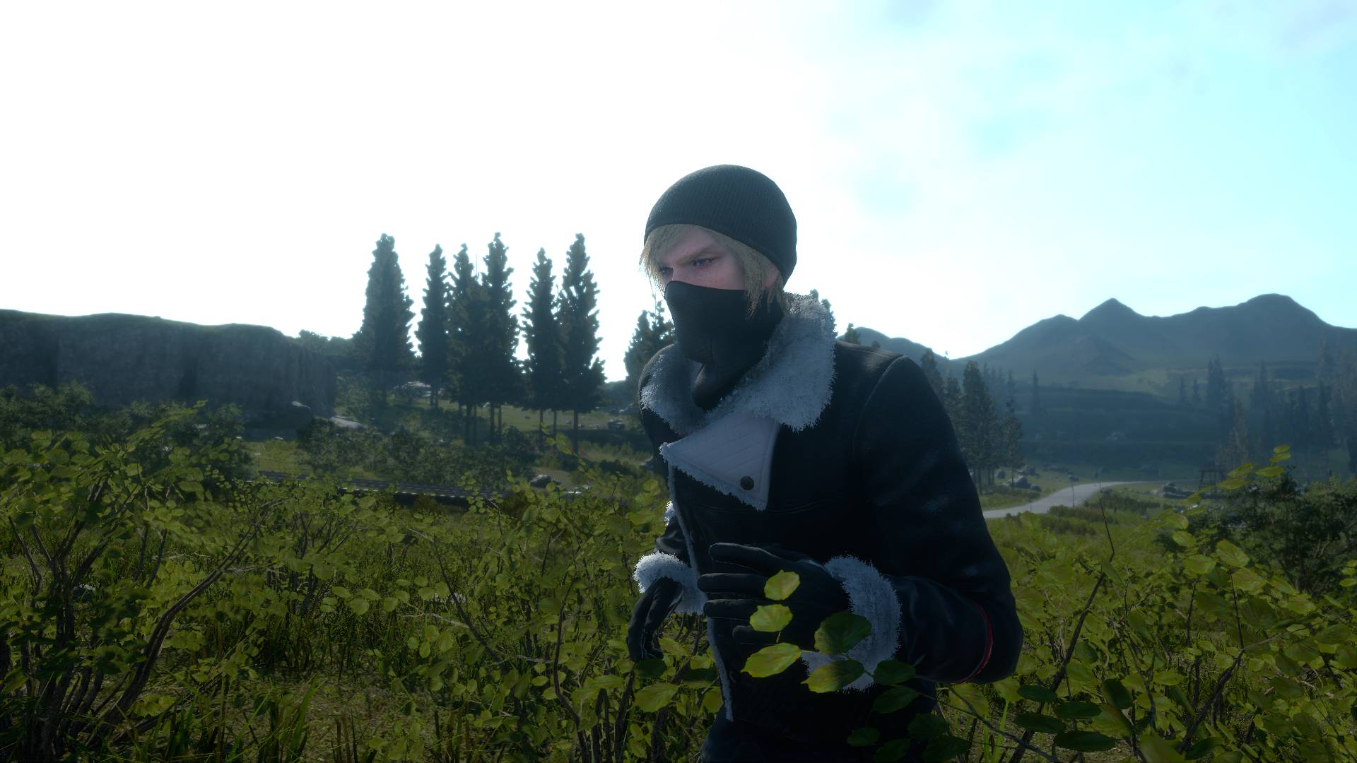 prompto_tundra_01.jpg