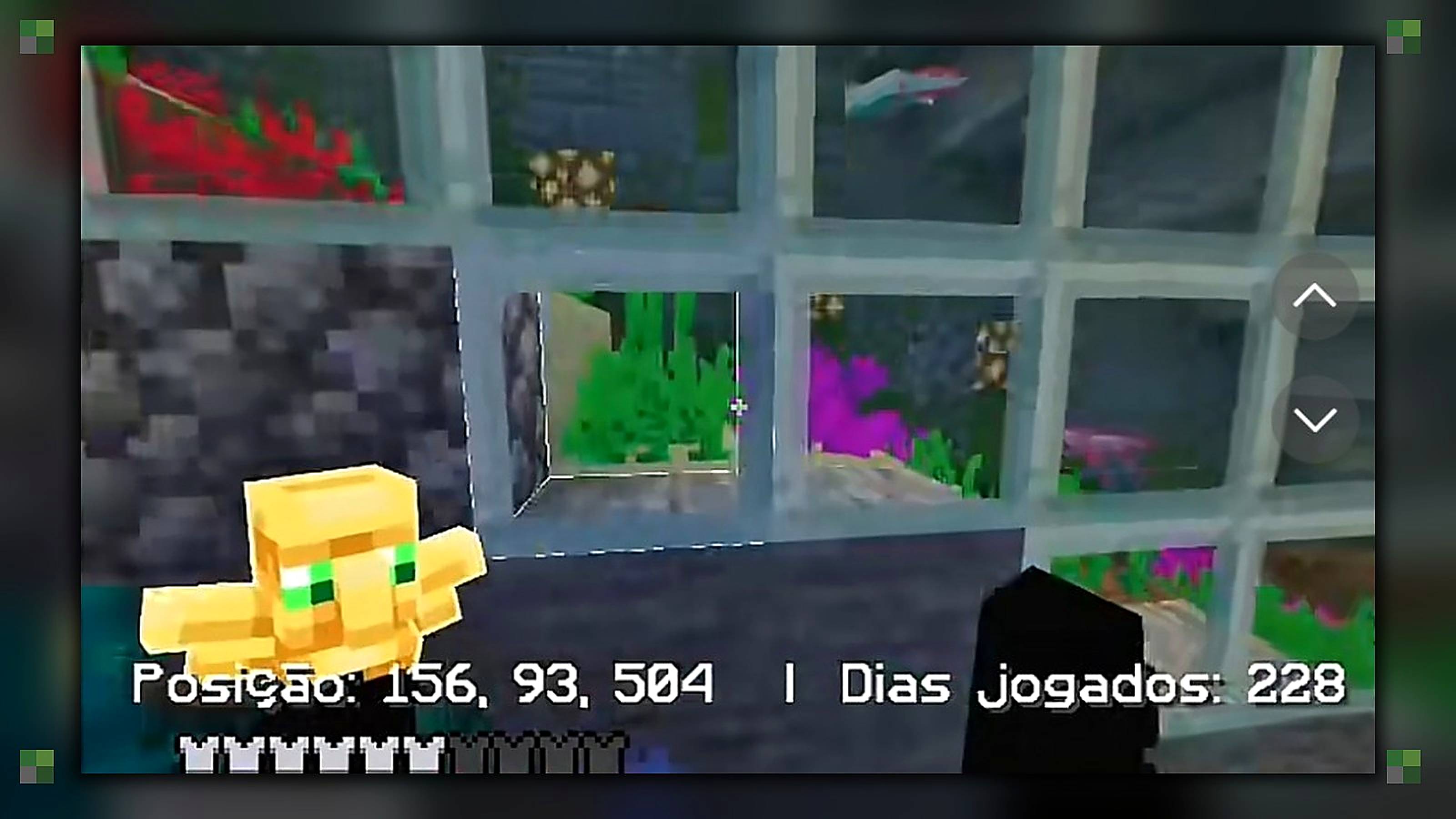 491960.jpg