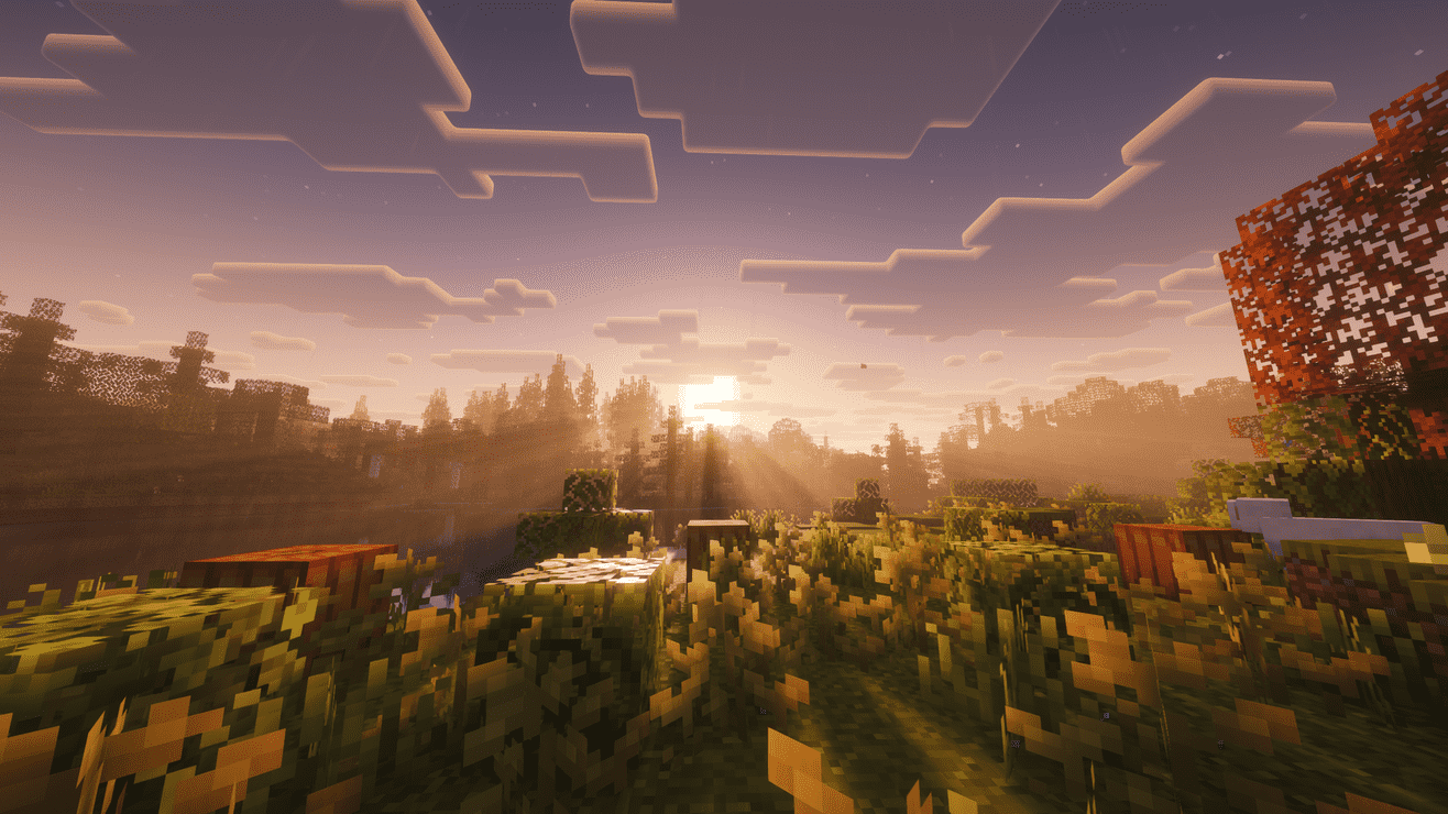 2026-10-26_12.07.26_optimized_2000.png