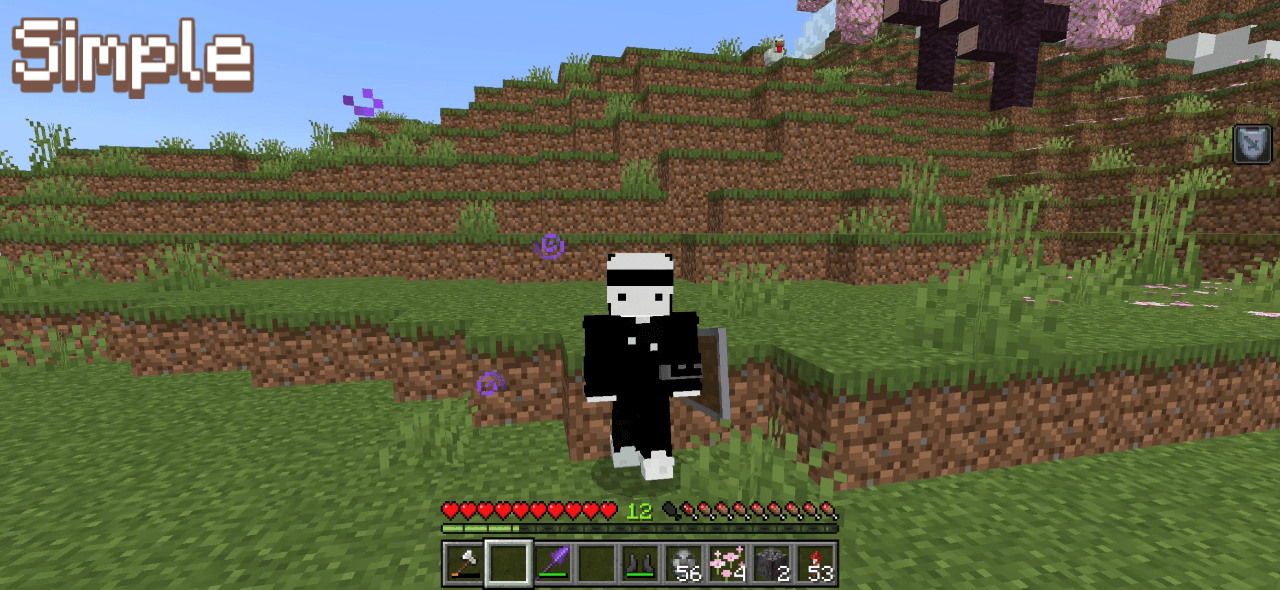 Project Shied Image Shield Status - Minecraft Bedrock Texture Packs - CurseForge