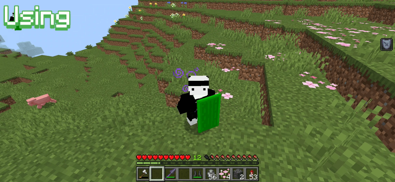 Project Shied Image Shield Status - Minecraft Bedrock Texture Packs - CurseForge
