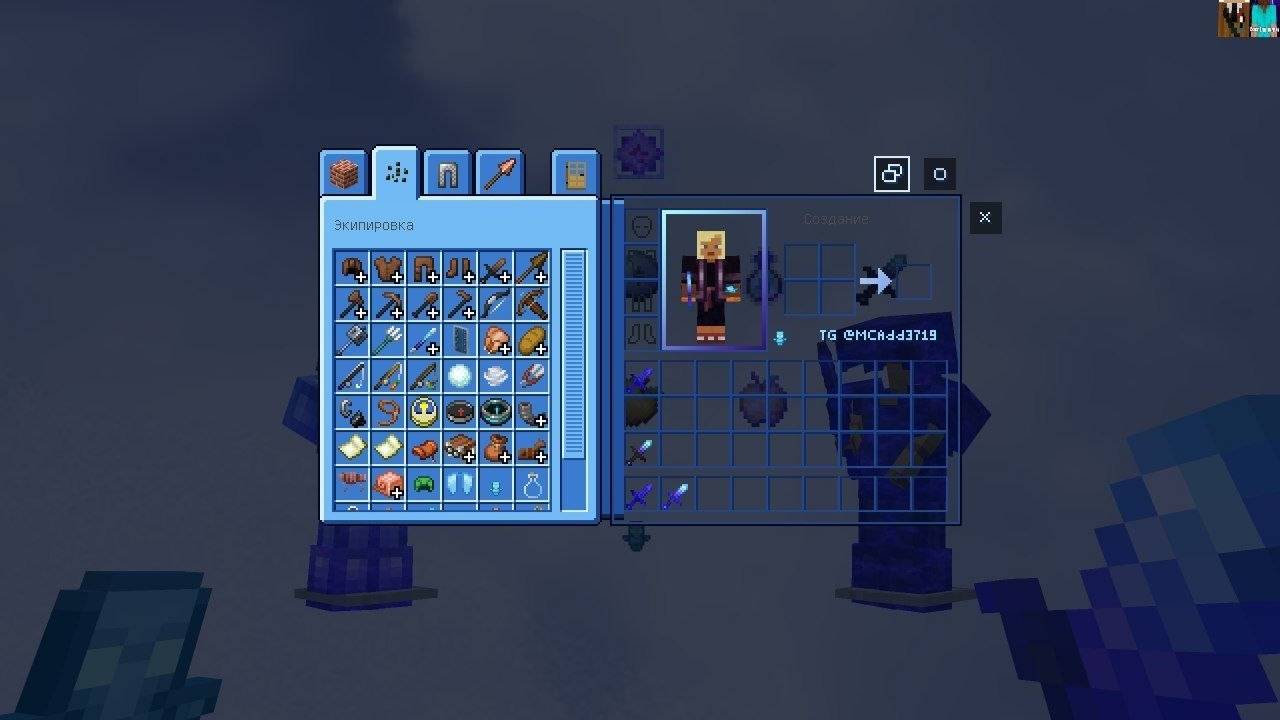 1000091184.jpg