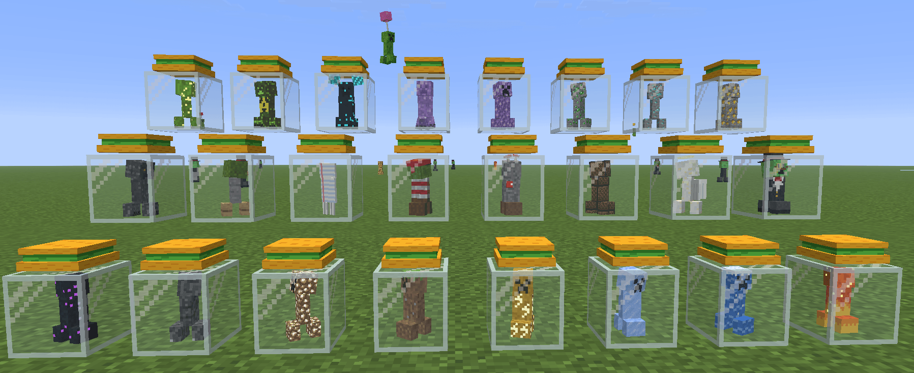 A shelf of sealed jars with different creepers