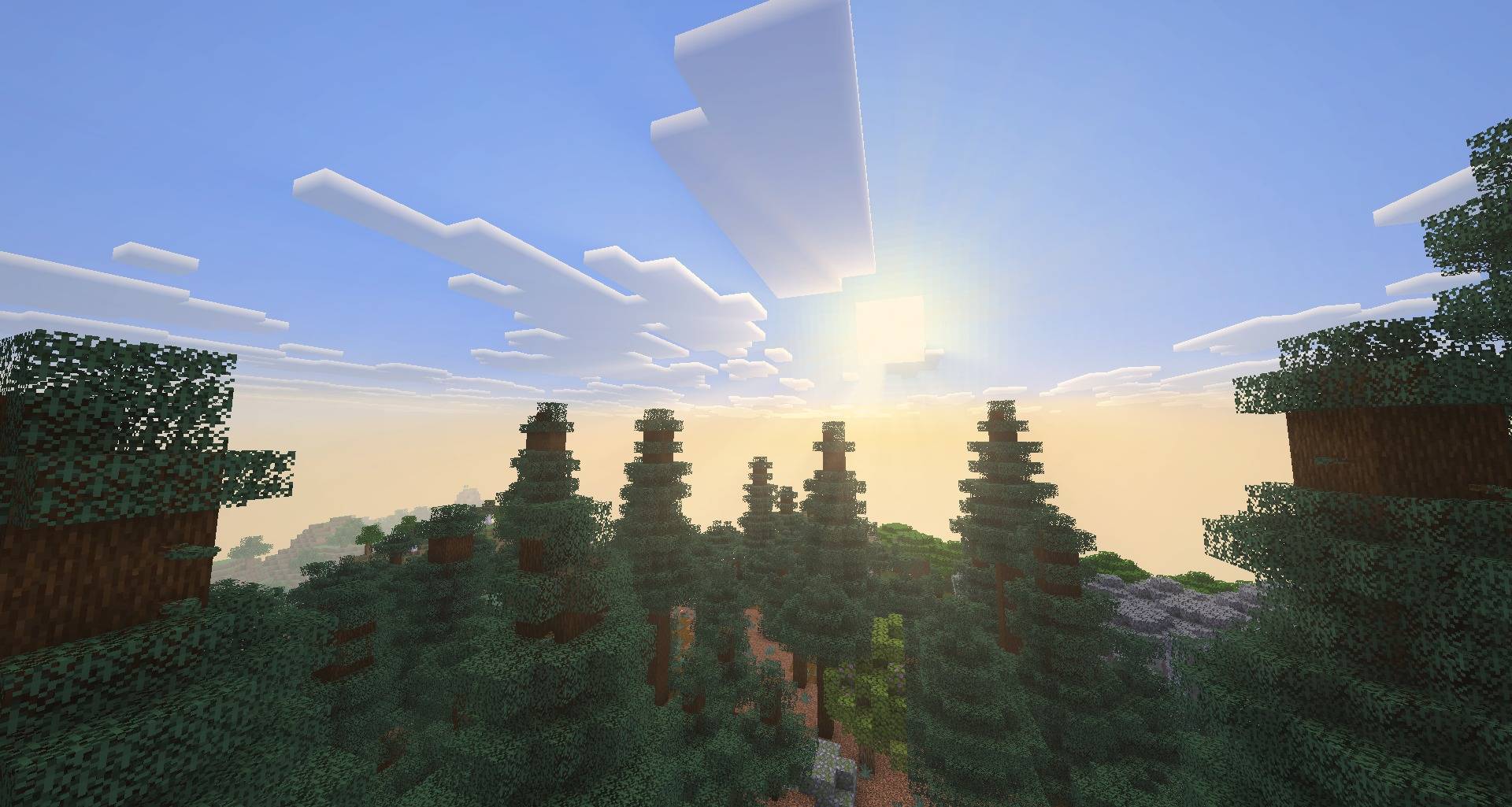 Sunrise over a taiga with light shafts