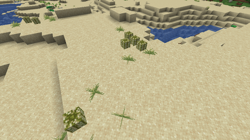 this will be generated on beaches