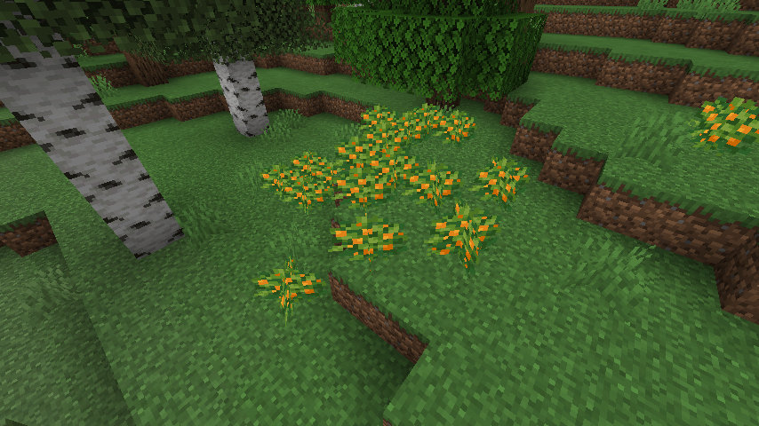 this will be generated in forests