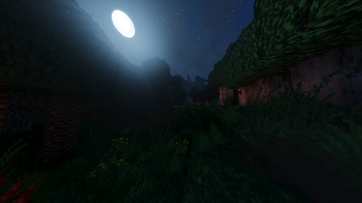 Forest With Shaders