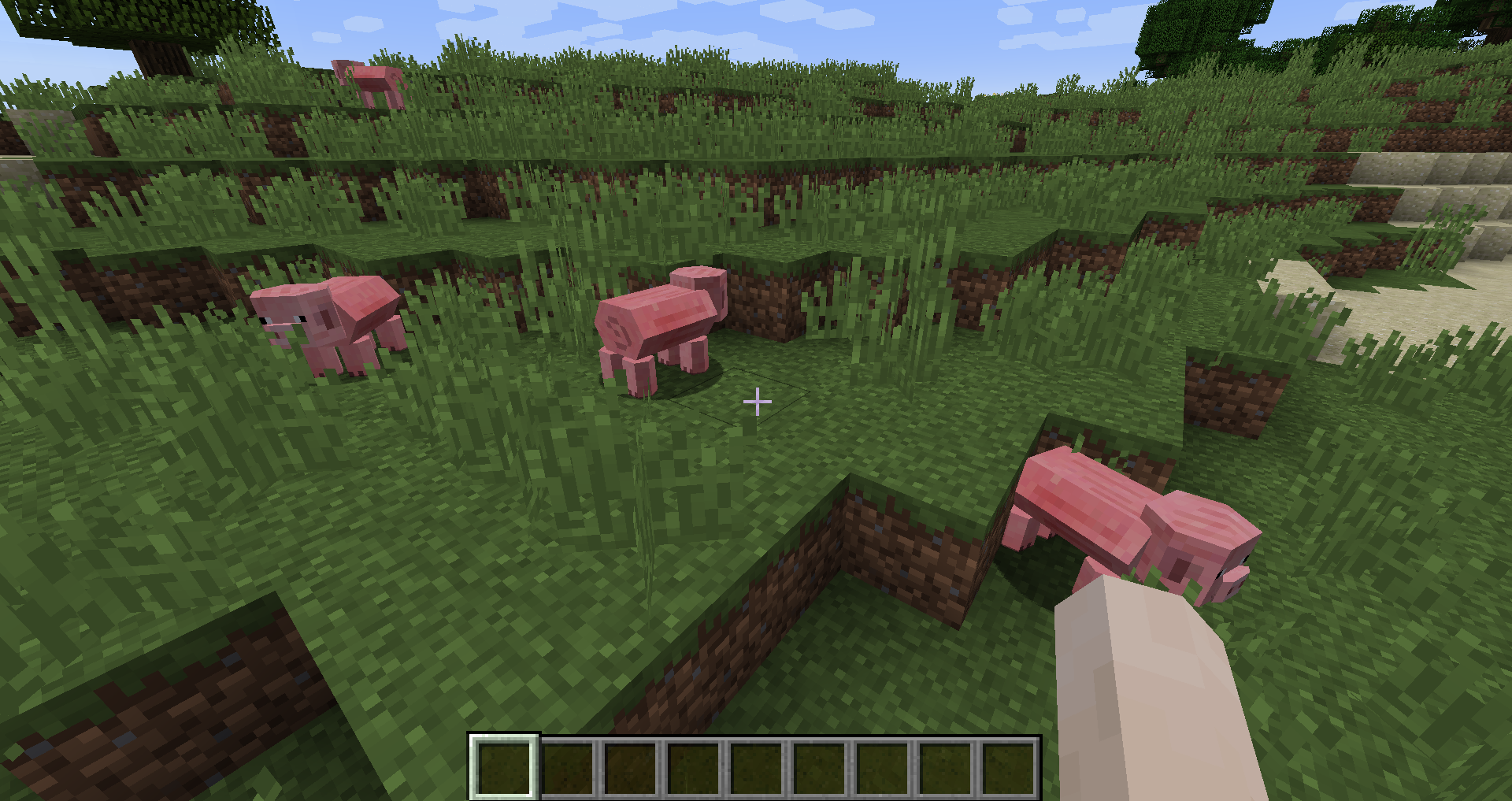 Hex-Piggies!