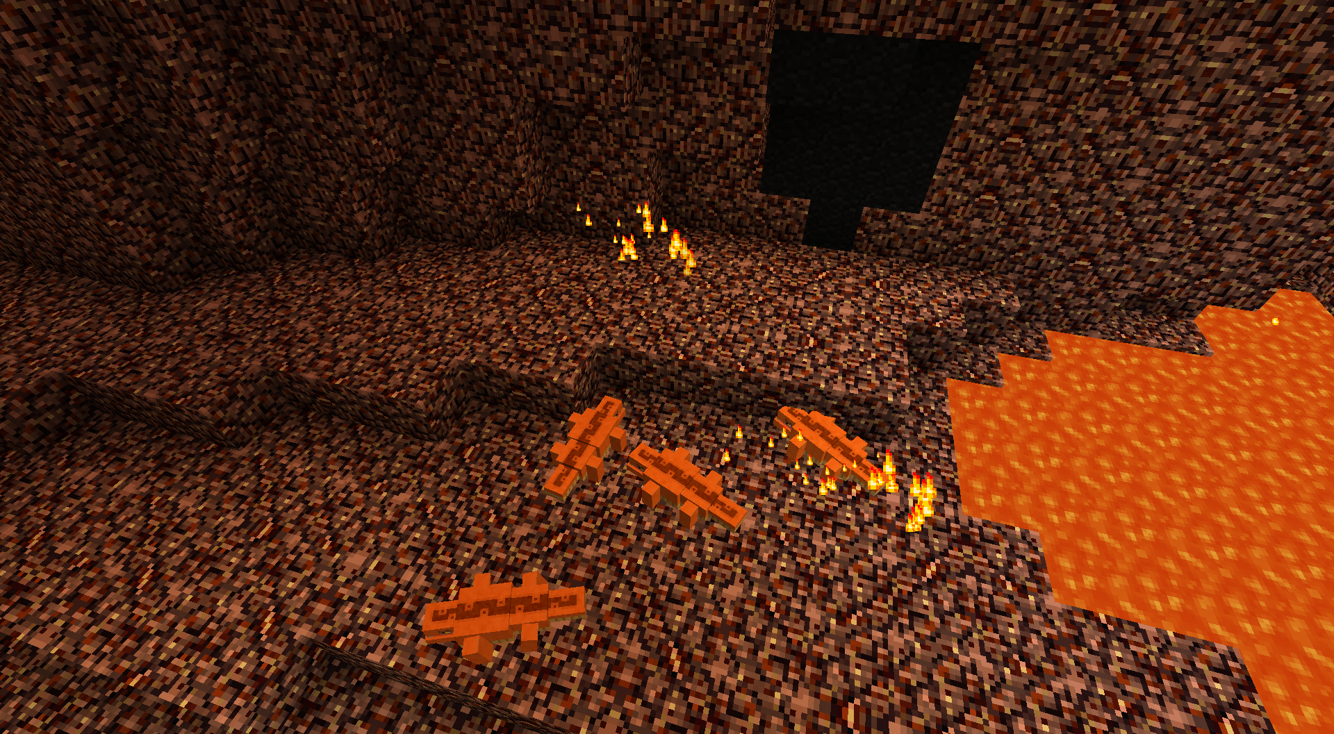 lizards in the nether :O