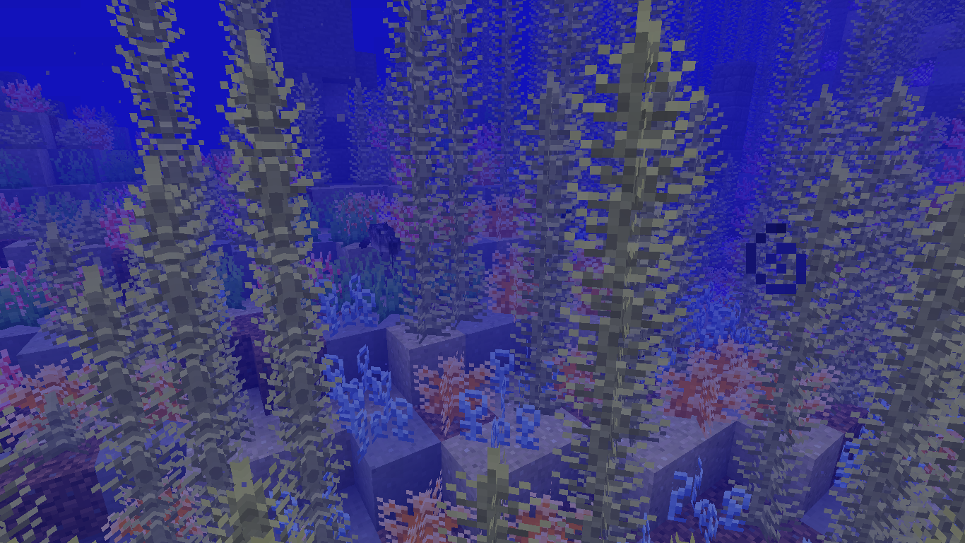 Coral reef