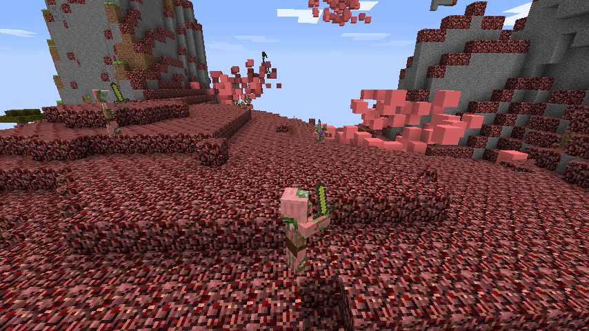 OverWorld Nether Biome