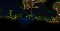 Picture 3