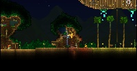 Picture 8