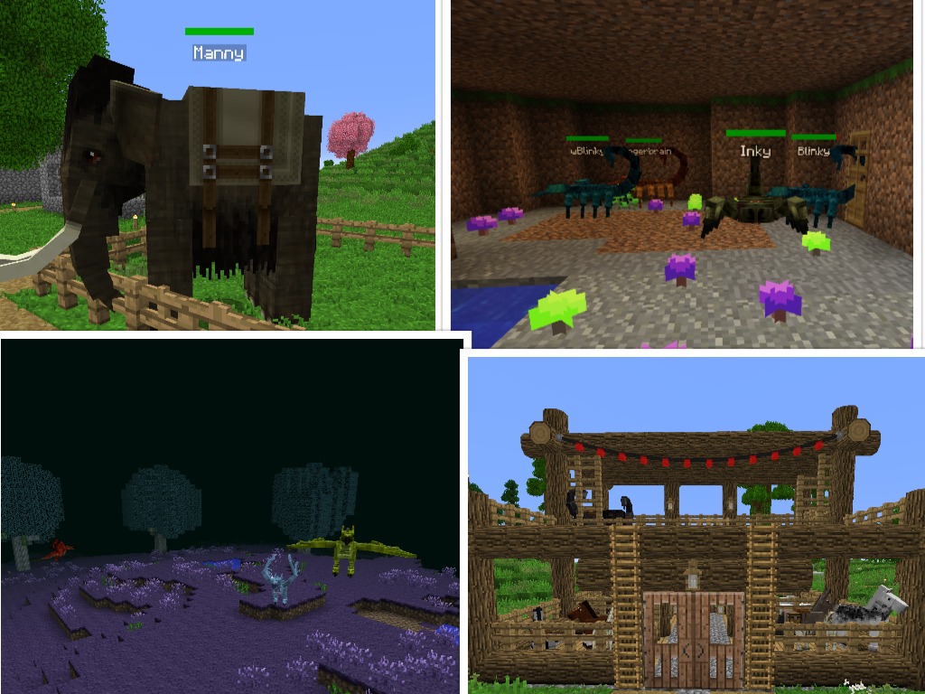 Tame and interact with many different types of creatures!