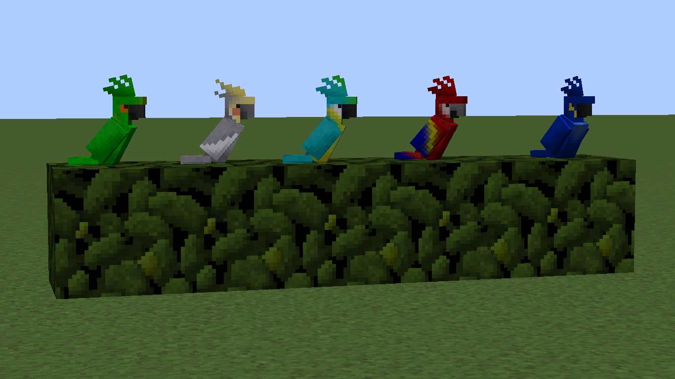 1.12.2 - Parrots