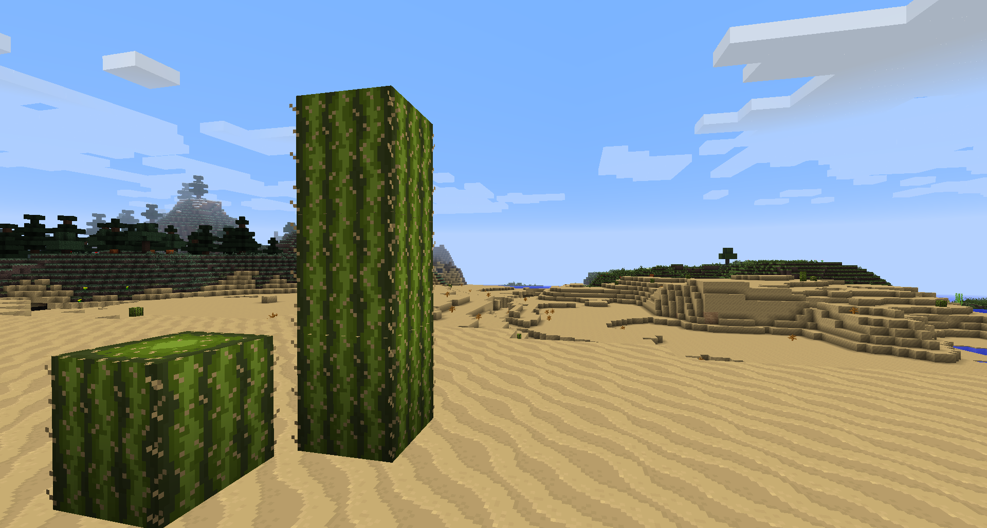 Desert biome