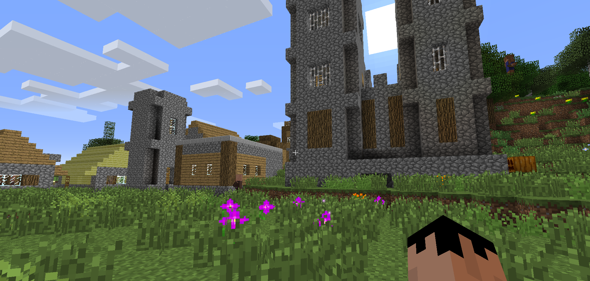 Found a big village with a somewhat castle and temple