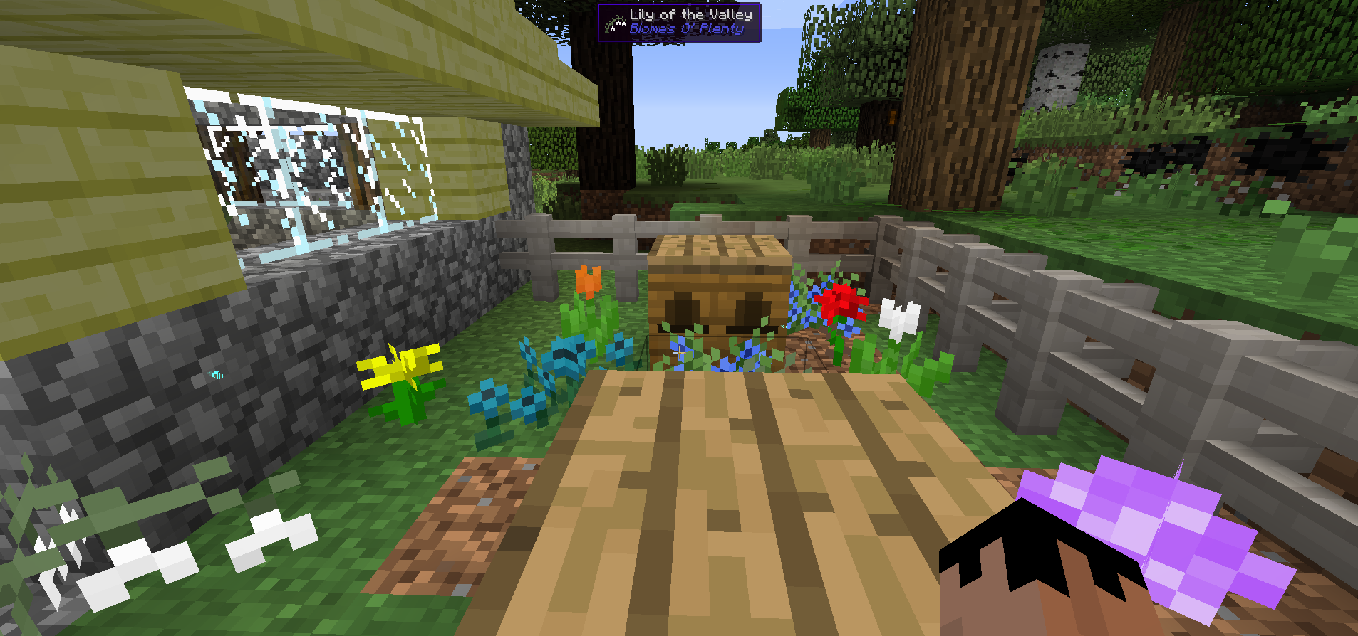 the bees are here