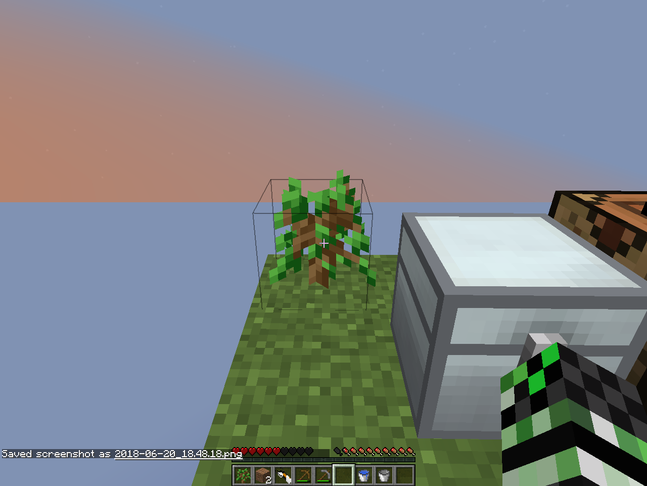 And I place down the acorn annd... a sapling