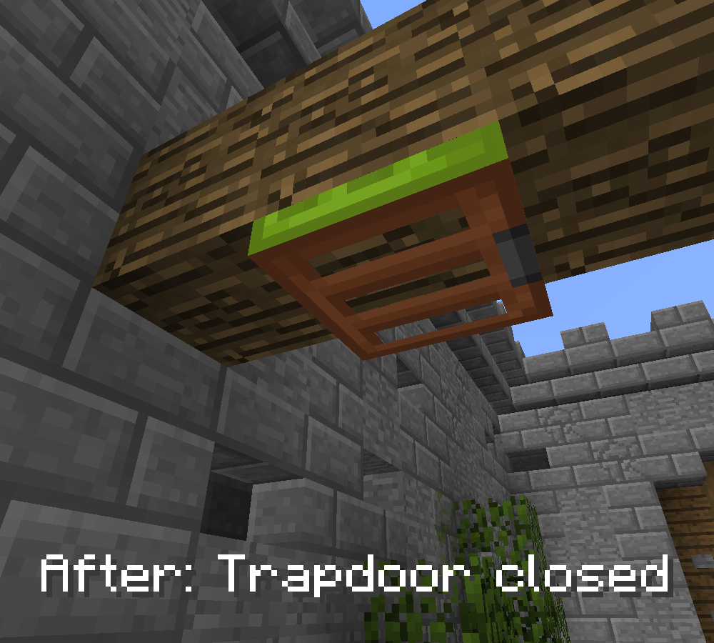 Trapdoor 3