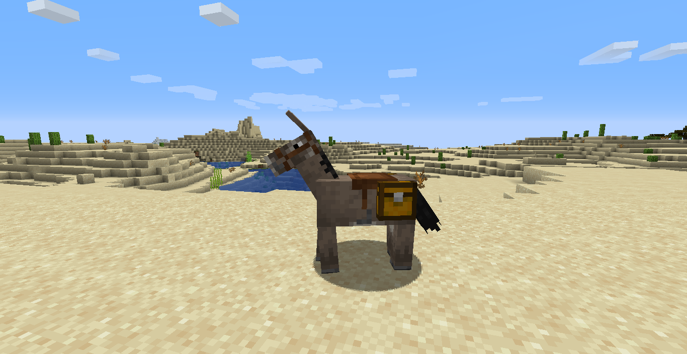 Donkey + Chest