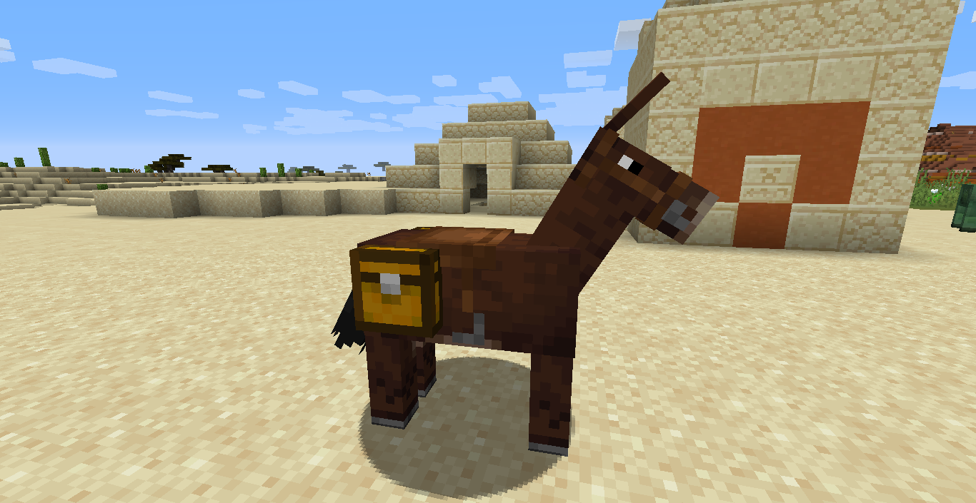 Mule + Chest