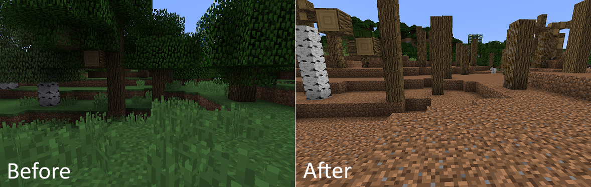 Before & After