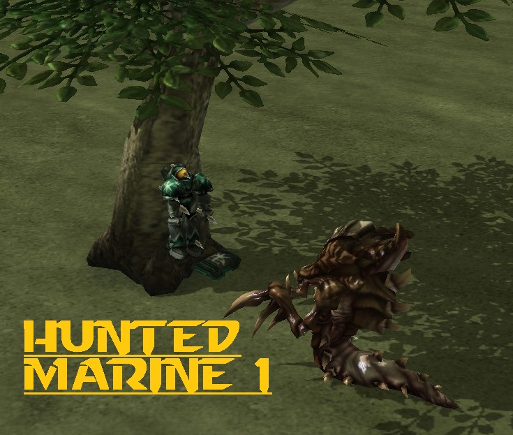 Hunted Marine 1