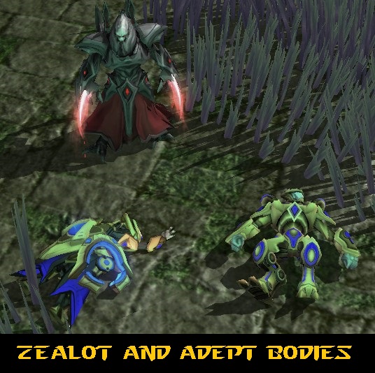 Zealot and Adept bodies