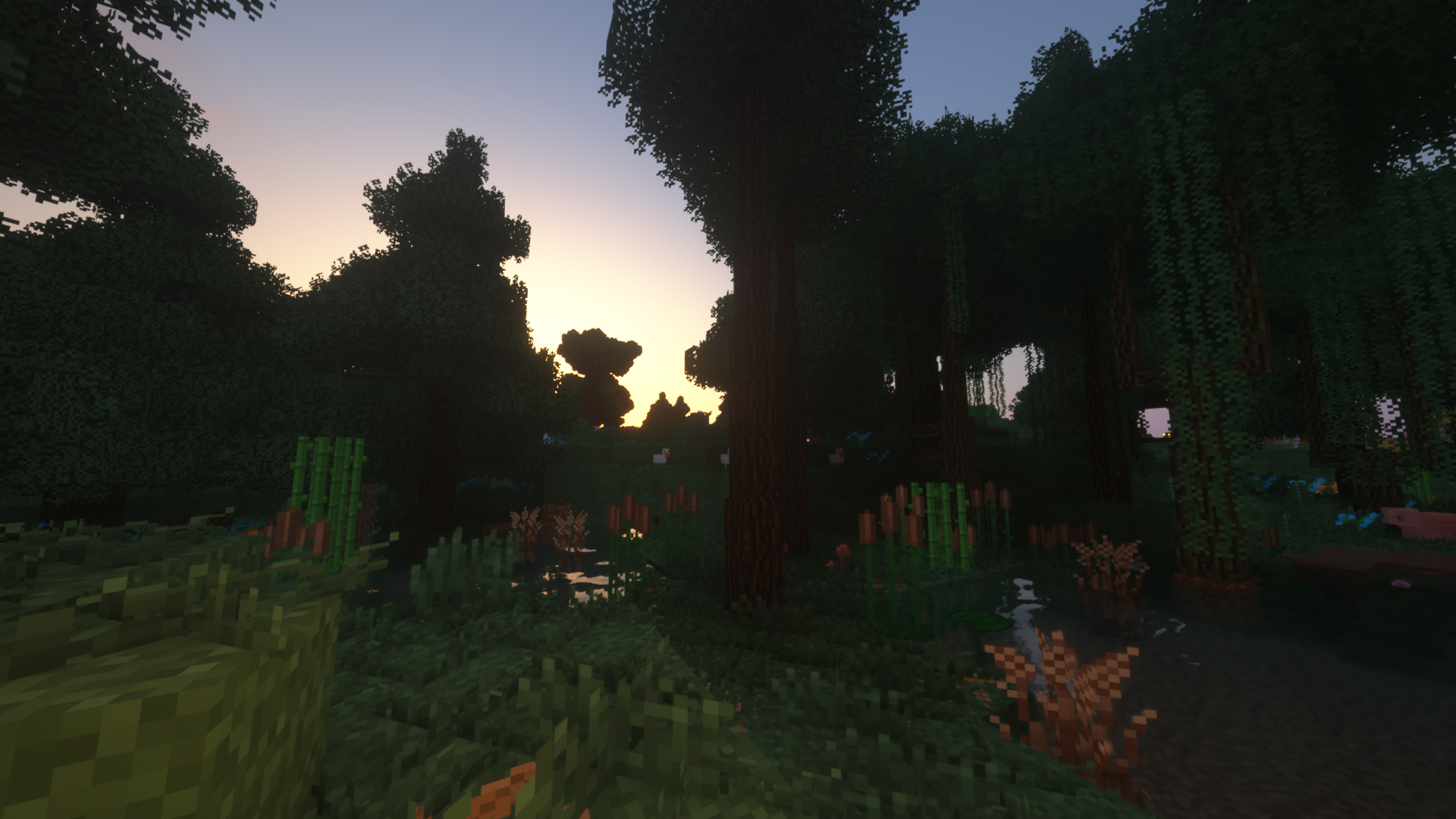 NATURE!