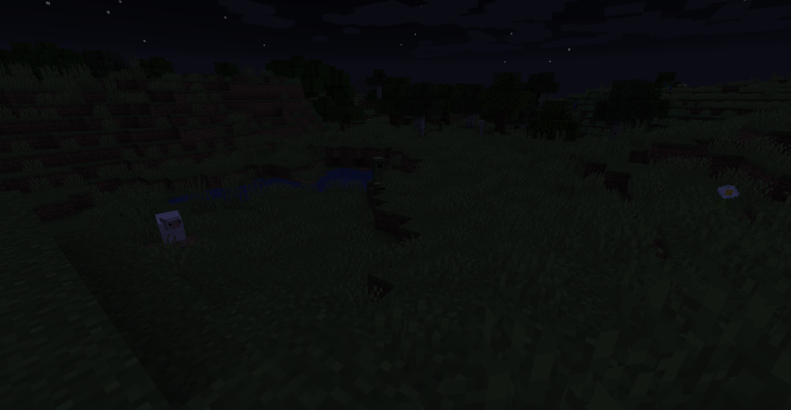 Plains biome at night