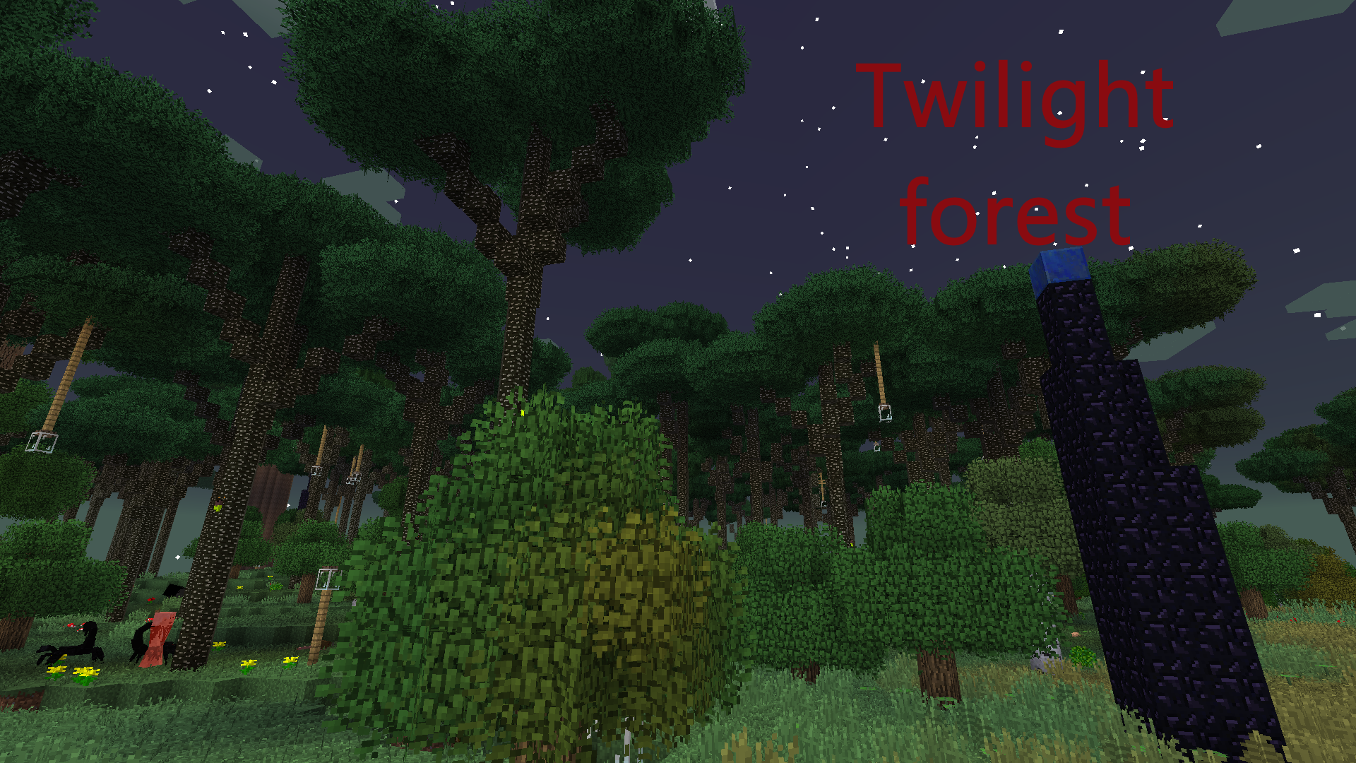 Twilight forest