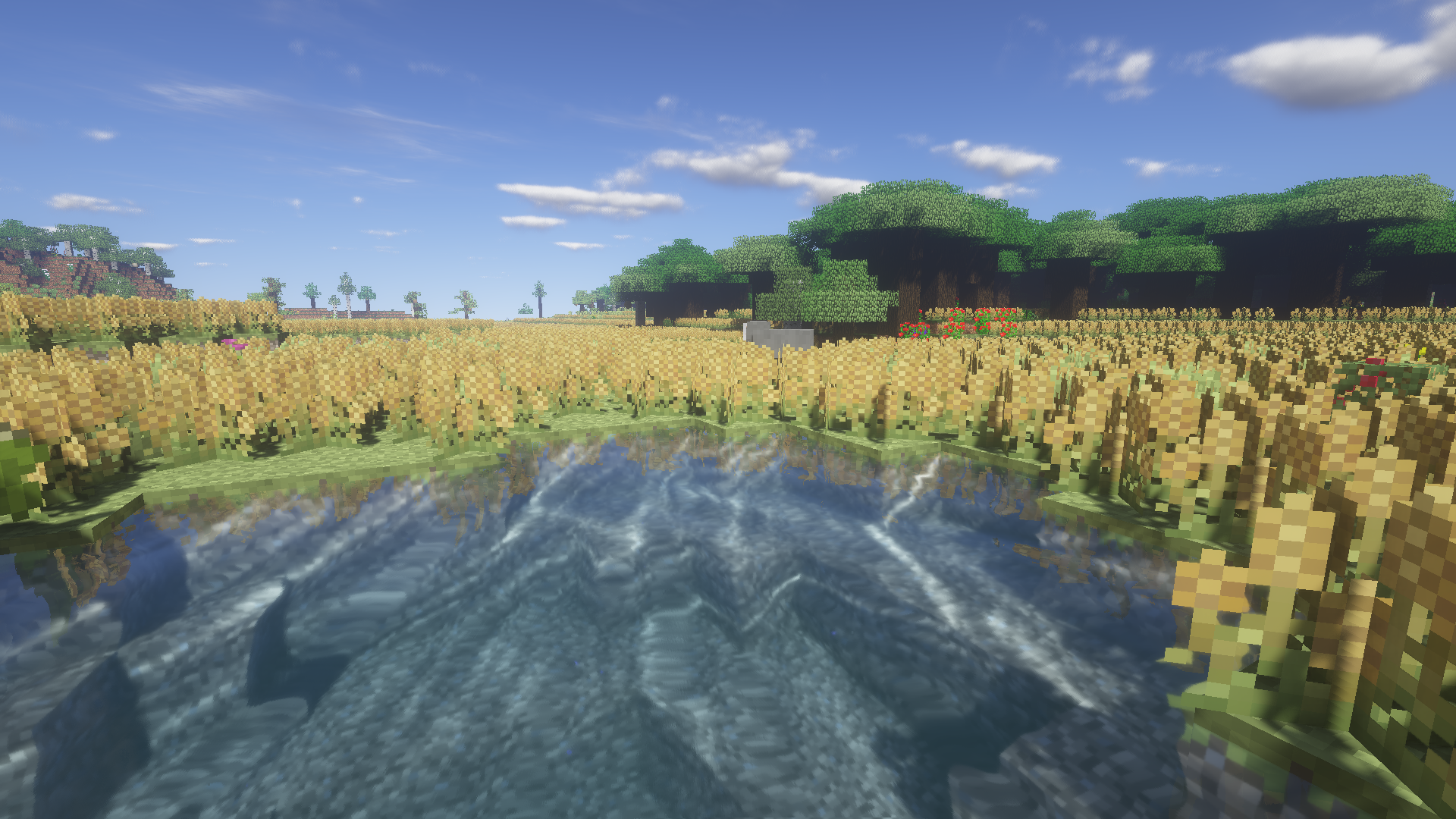 Field from Biomes o plenty