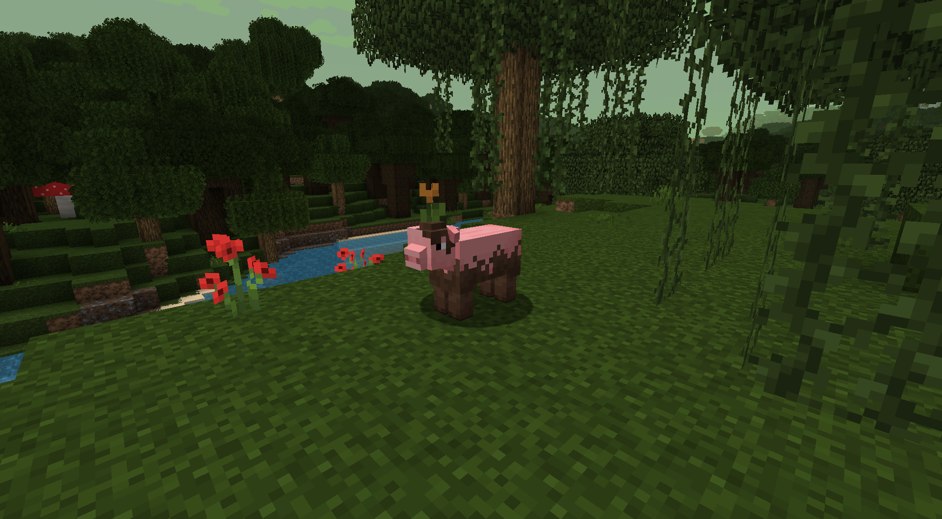 Pig in swamp