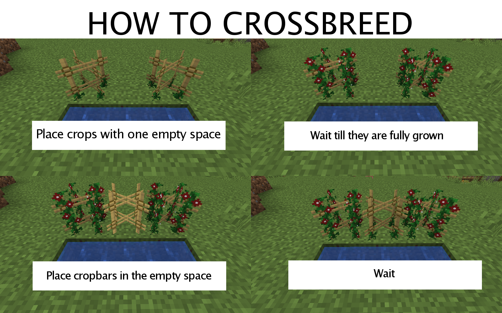 HOW TO CROSSBREED